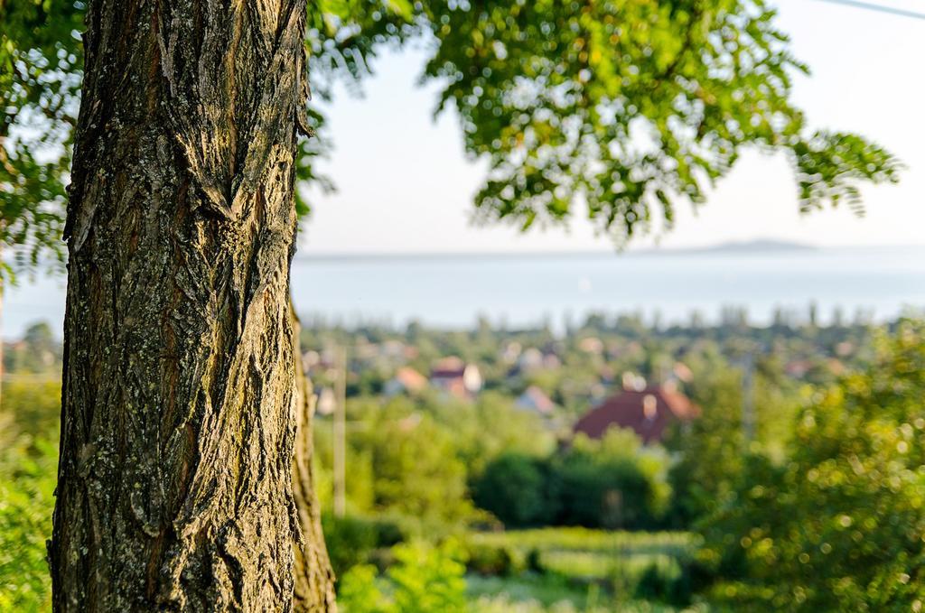 Hillside Apartments Ревфюлёп Экстерьер фото